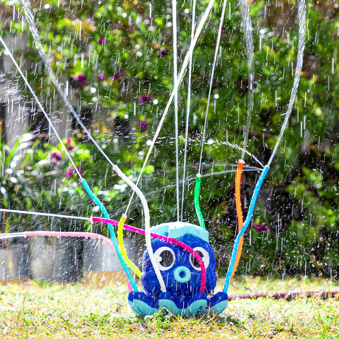 Pack Riesiger aufblasbarer Bumper-Bubble-Ball und Wassersprinkler-Spielzeug – Detailansicht 1