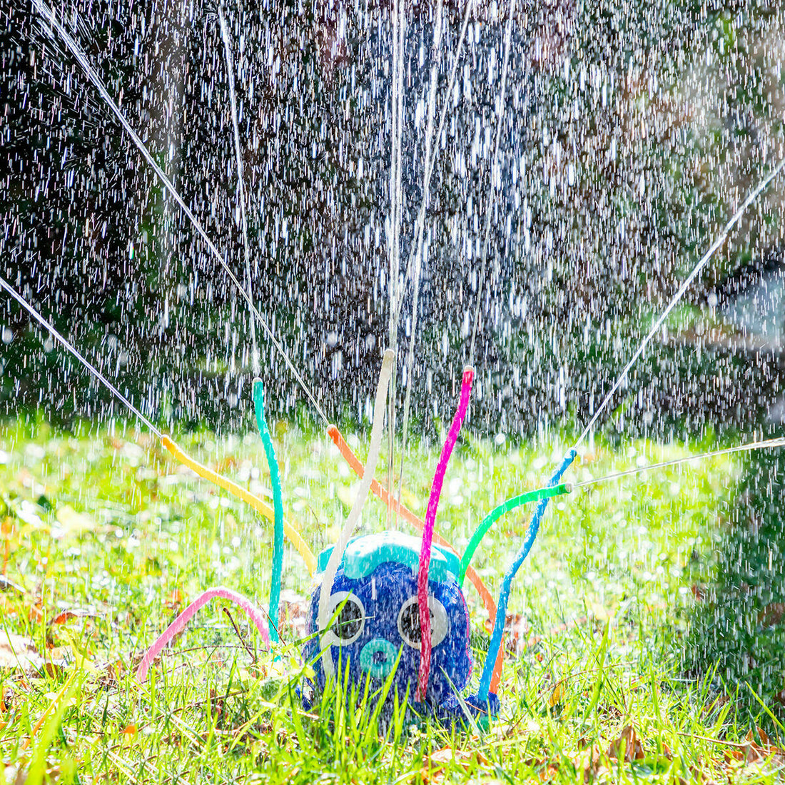 Pack Riesiger aufblasbarer Bumper-Bubble-Ball und Wassersprinkler-Spielzeug – Detailansicht 3