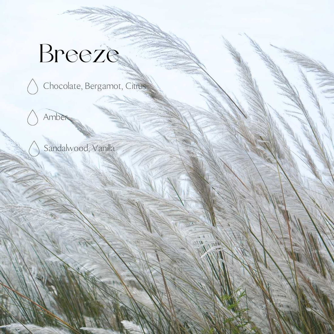 Auto – Diffusor – Breeze – Detailansicht 1