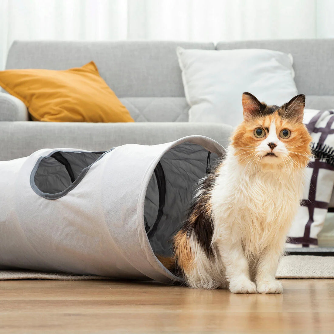 Funnyl faltbarer Katzentunnel, 114 cm – Detailansicht 4