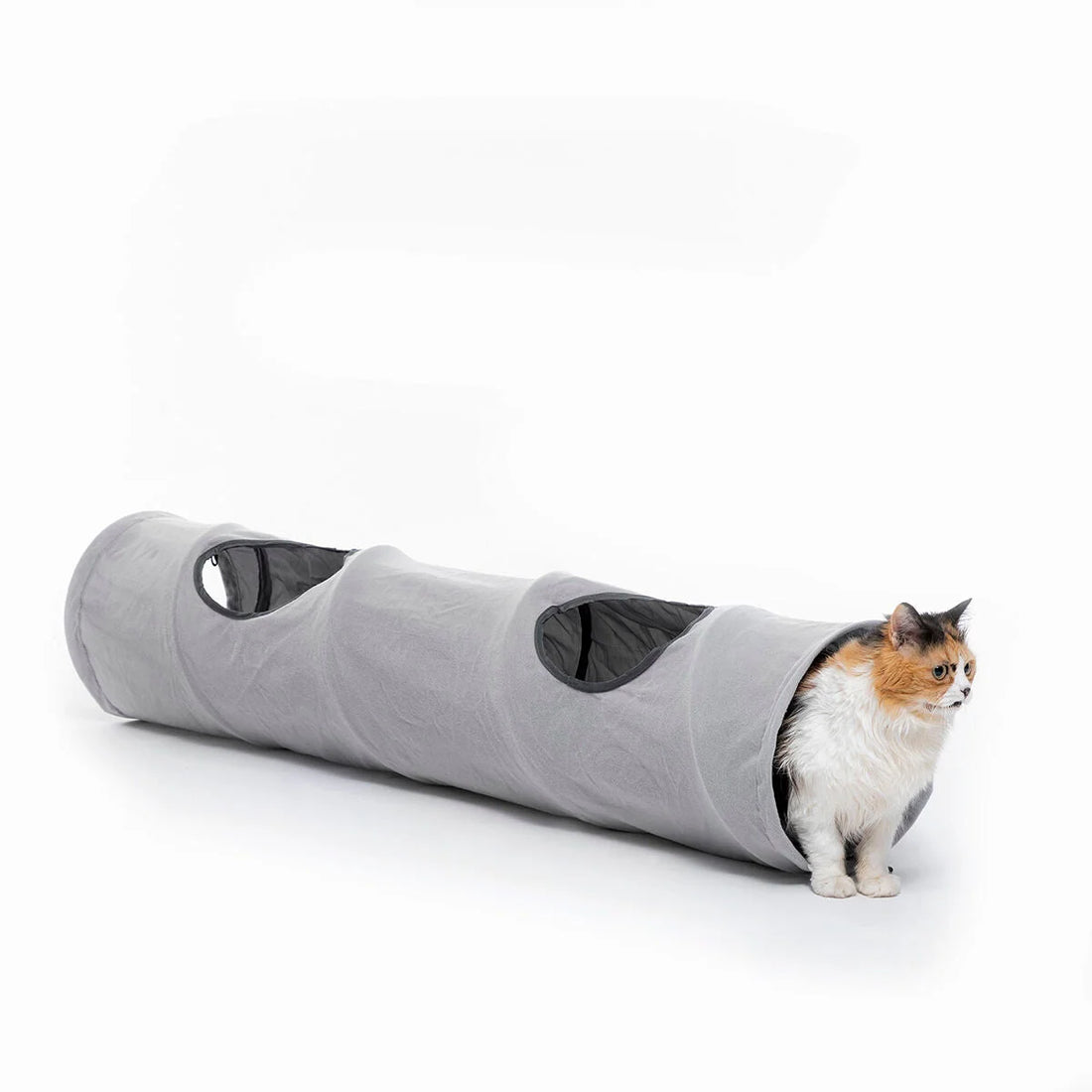 Funnyl faltbarer Katzentunnel, 114 cm – Detailansicht 4