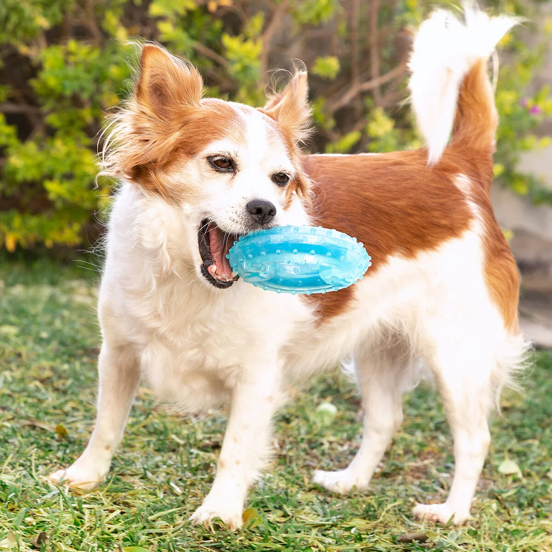 Glubiz gefrierfähiges Hundespielzeug 2-in-1 – Detailansicht 4
