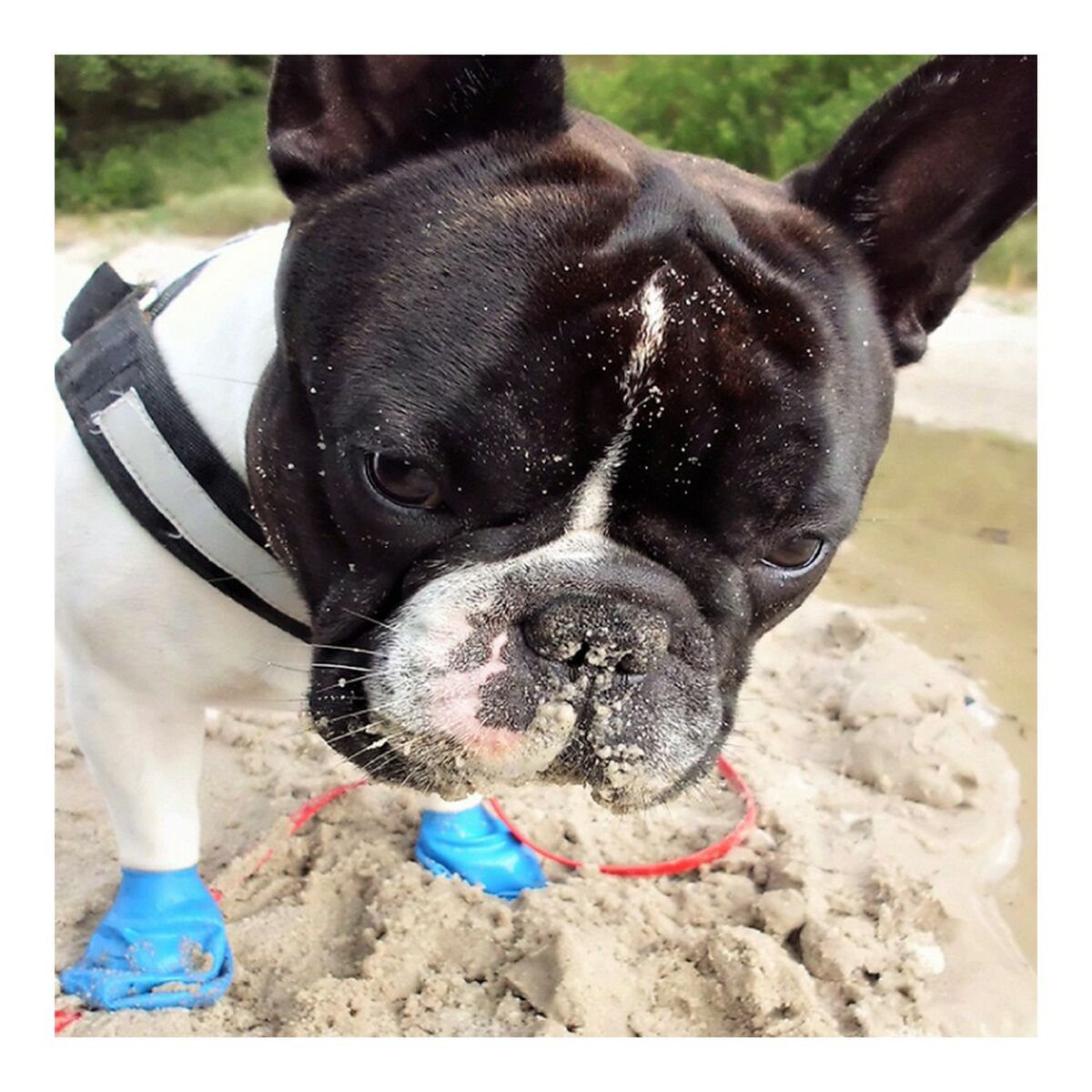 V11H5817F0921E6D1BB228DF026B999CBAFER4986966P5