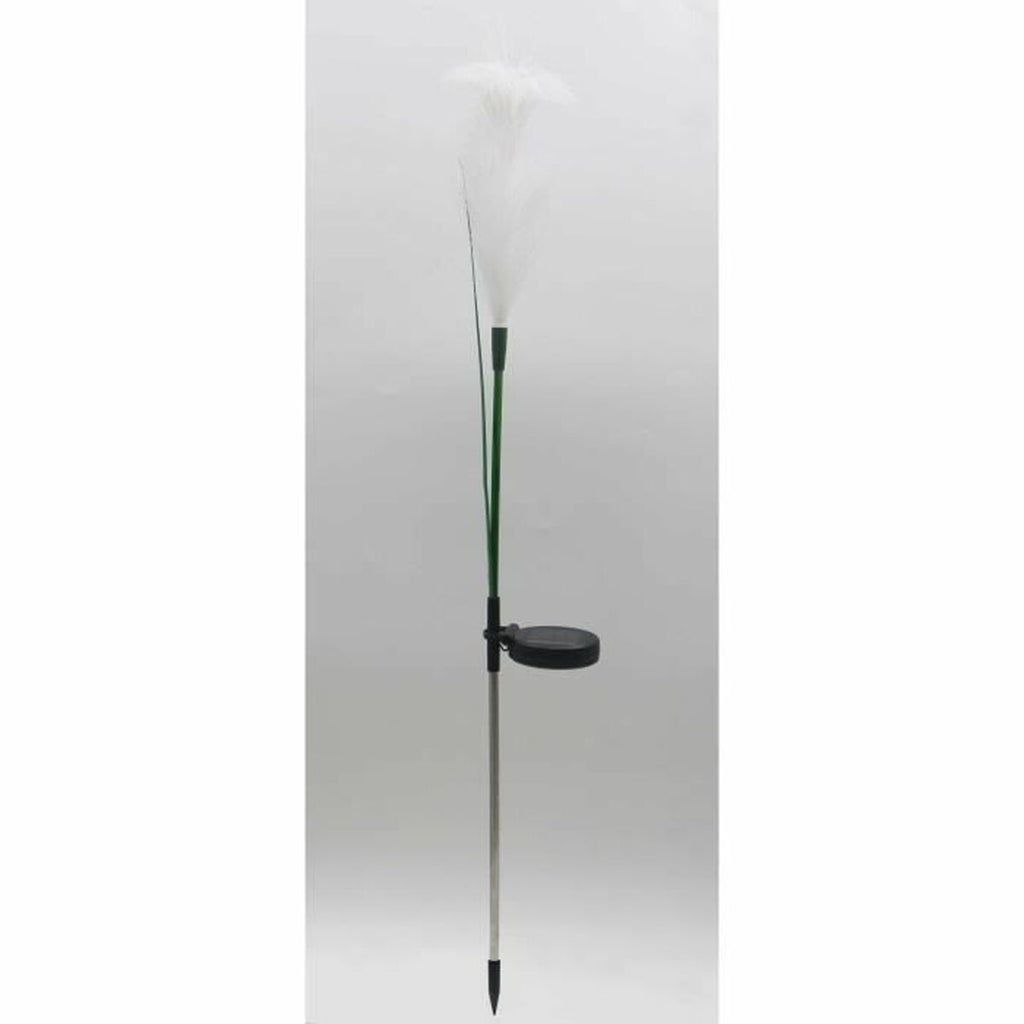 V6H081EDD81BB783B95196C55D68E3C01EBR5567694P2