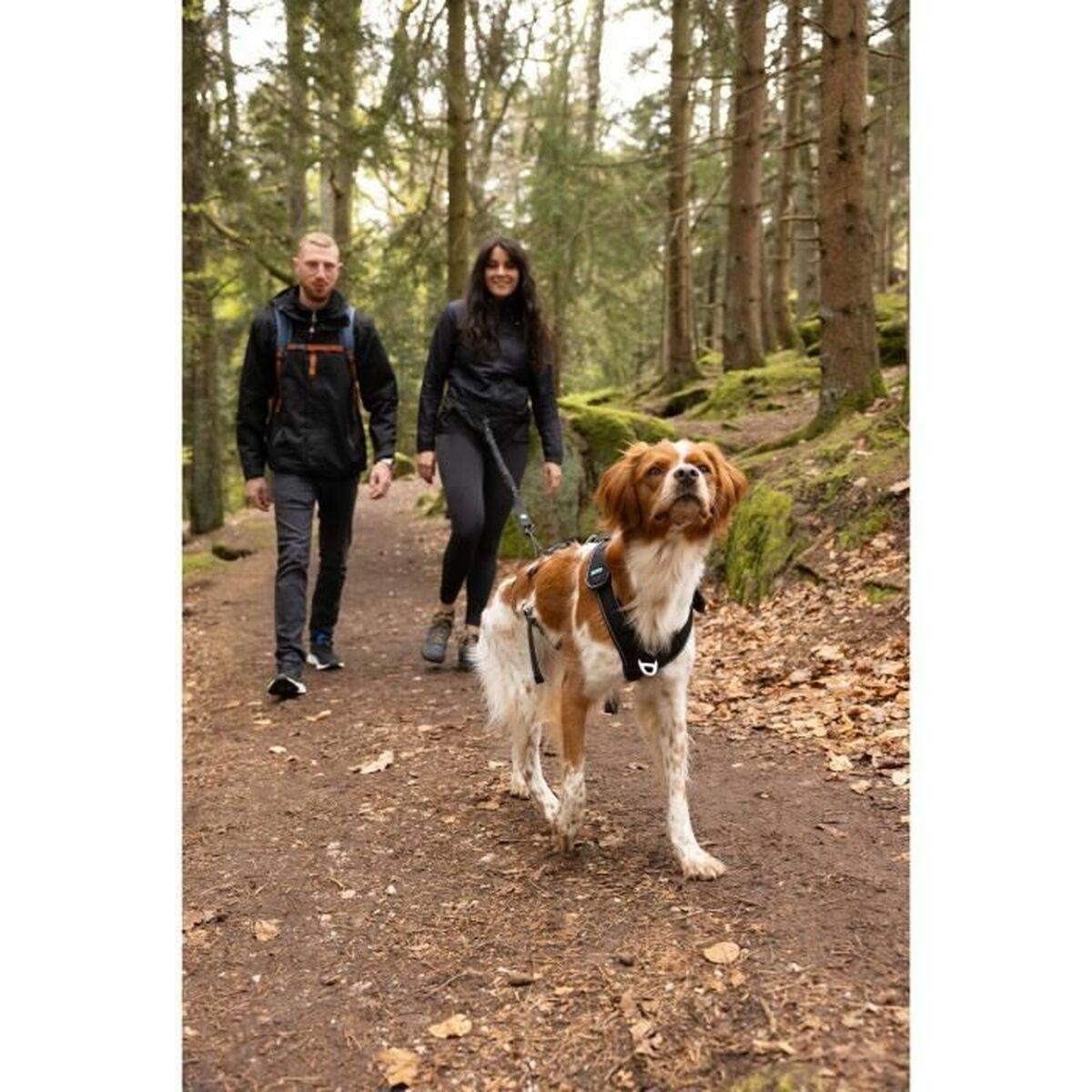 V6HCE39BD296E76F3F93EF9B651572CF948R5293577P5