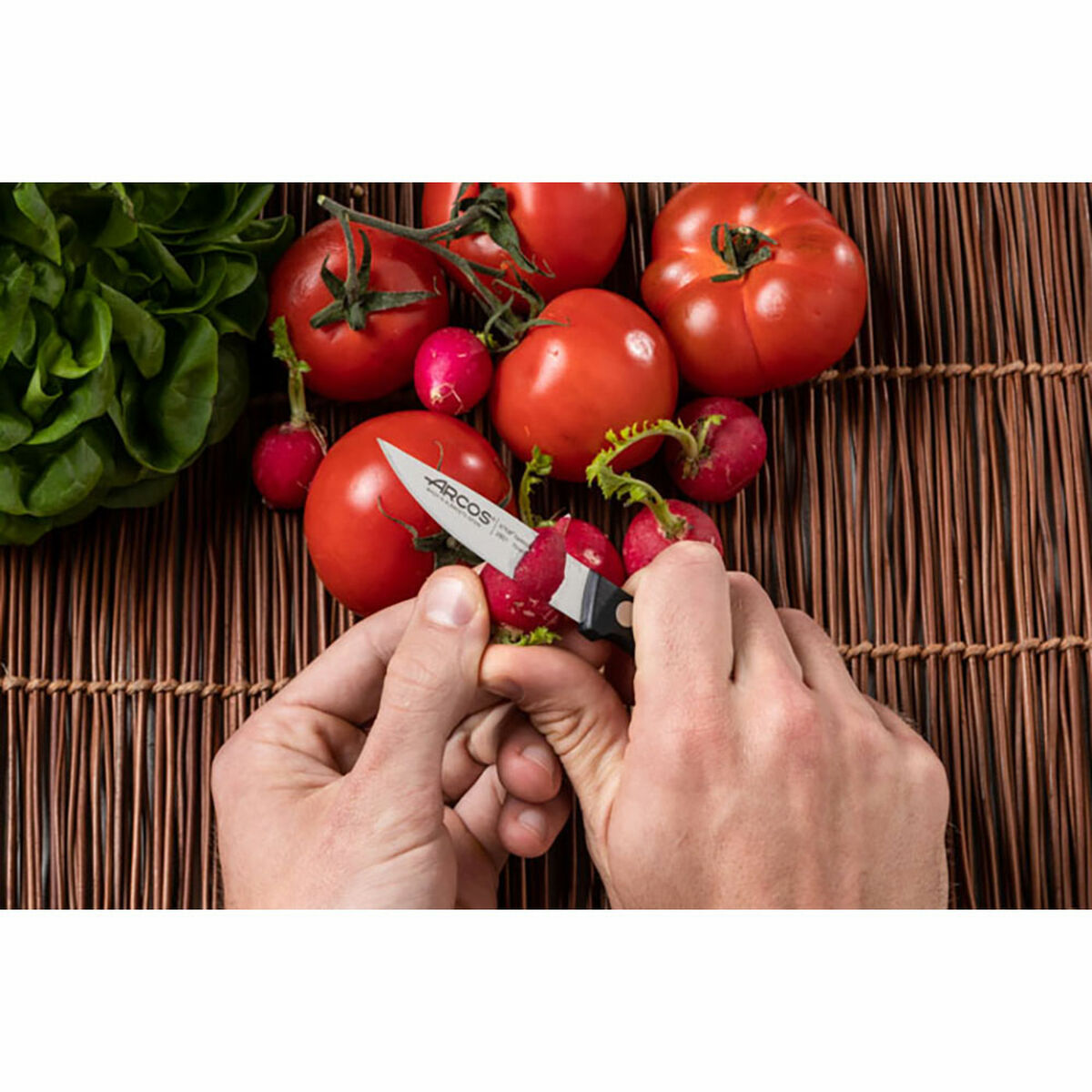 V5H12DBE434B55288953961553F8AF88050R6256498P6