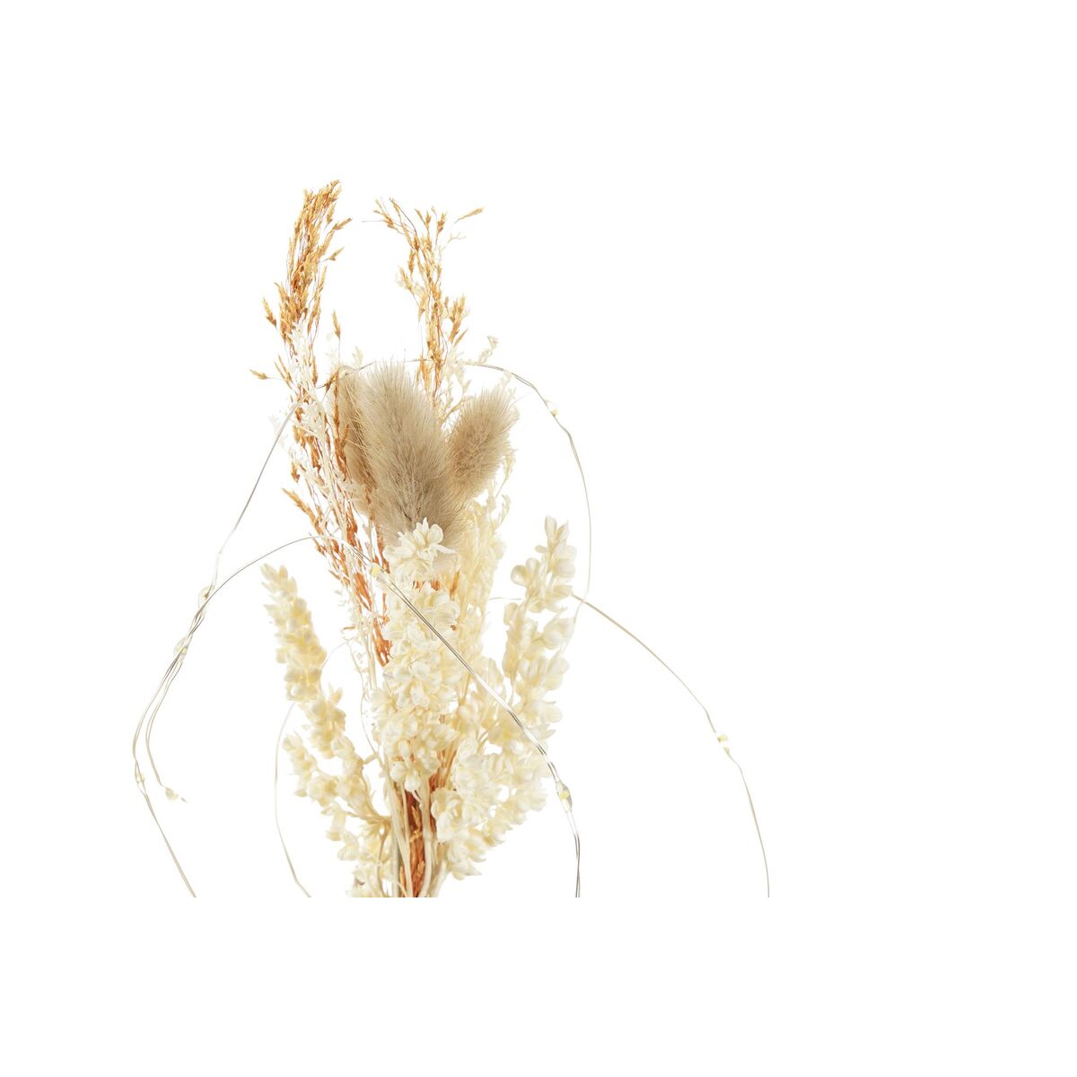 V10H822C8D356F16036A31055DC7997ED3DBR2366253P2