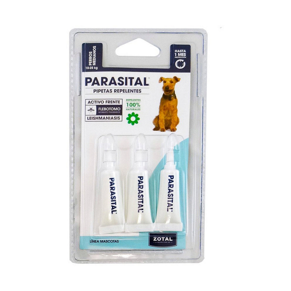 V12HB29EC59561AC67EFE224D22D84CA37EBR5319356P2