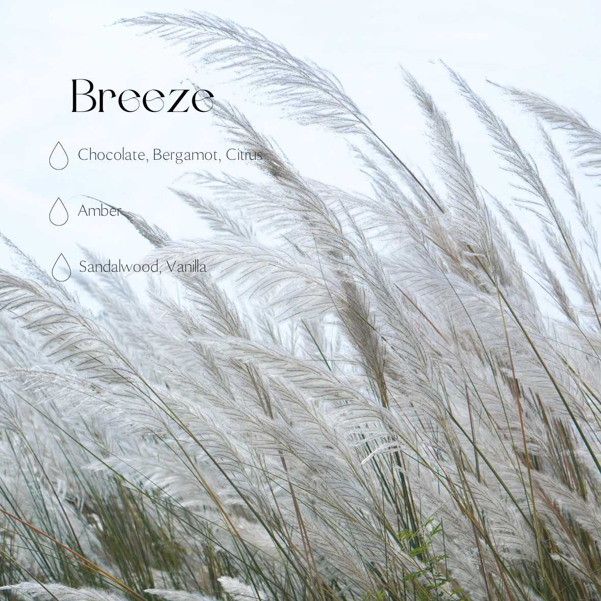 Auto – Diffusor – Breeze – Produktansicht 3