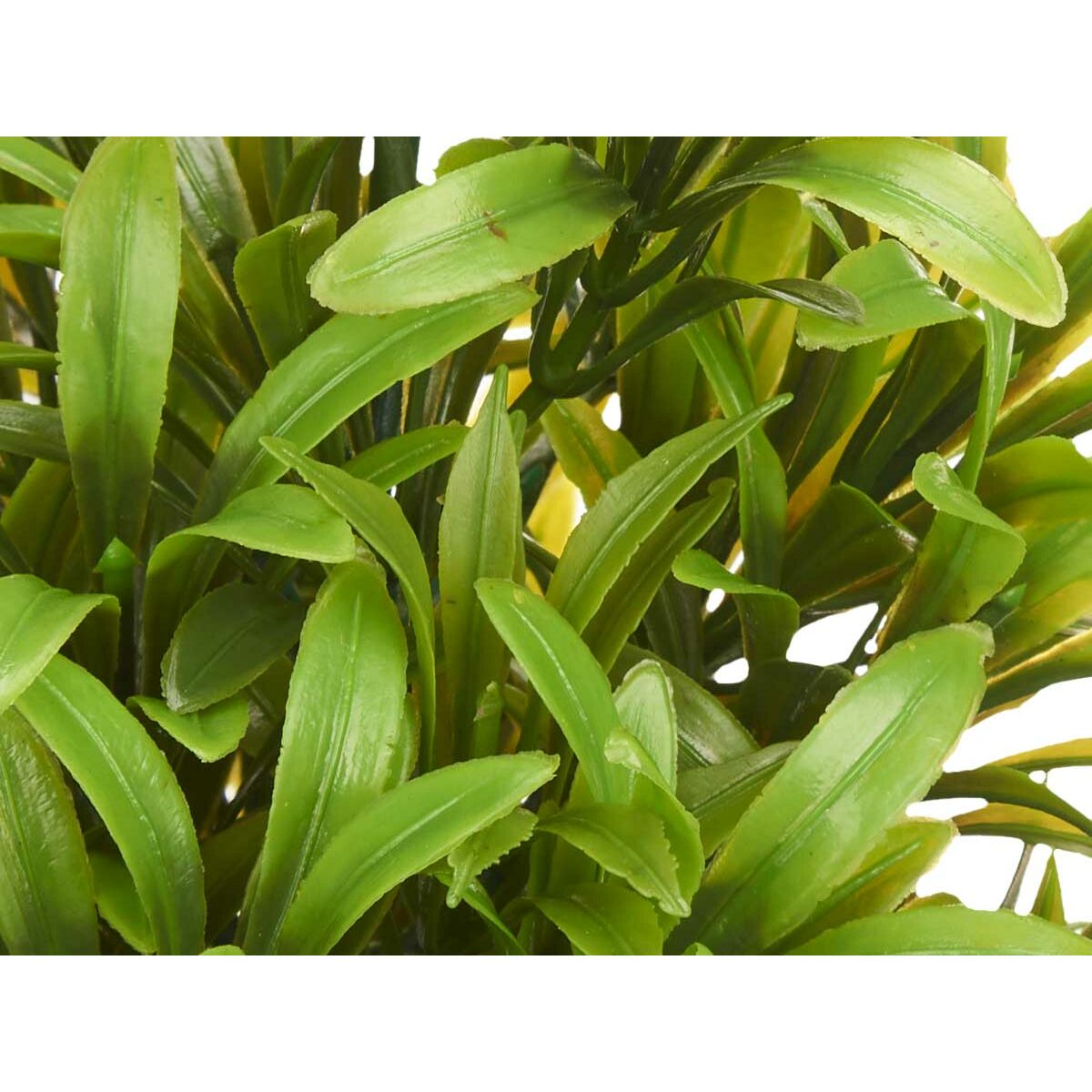 V11H58E9956293250FB9CD1E9696DDD1BFFAR7128923P3