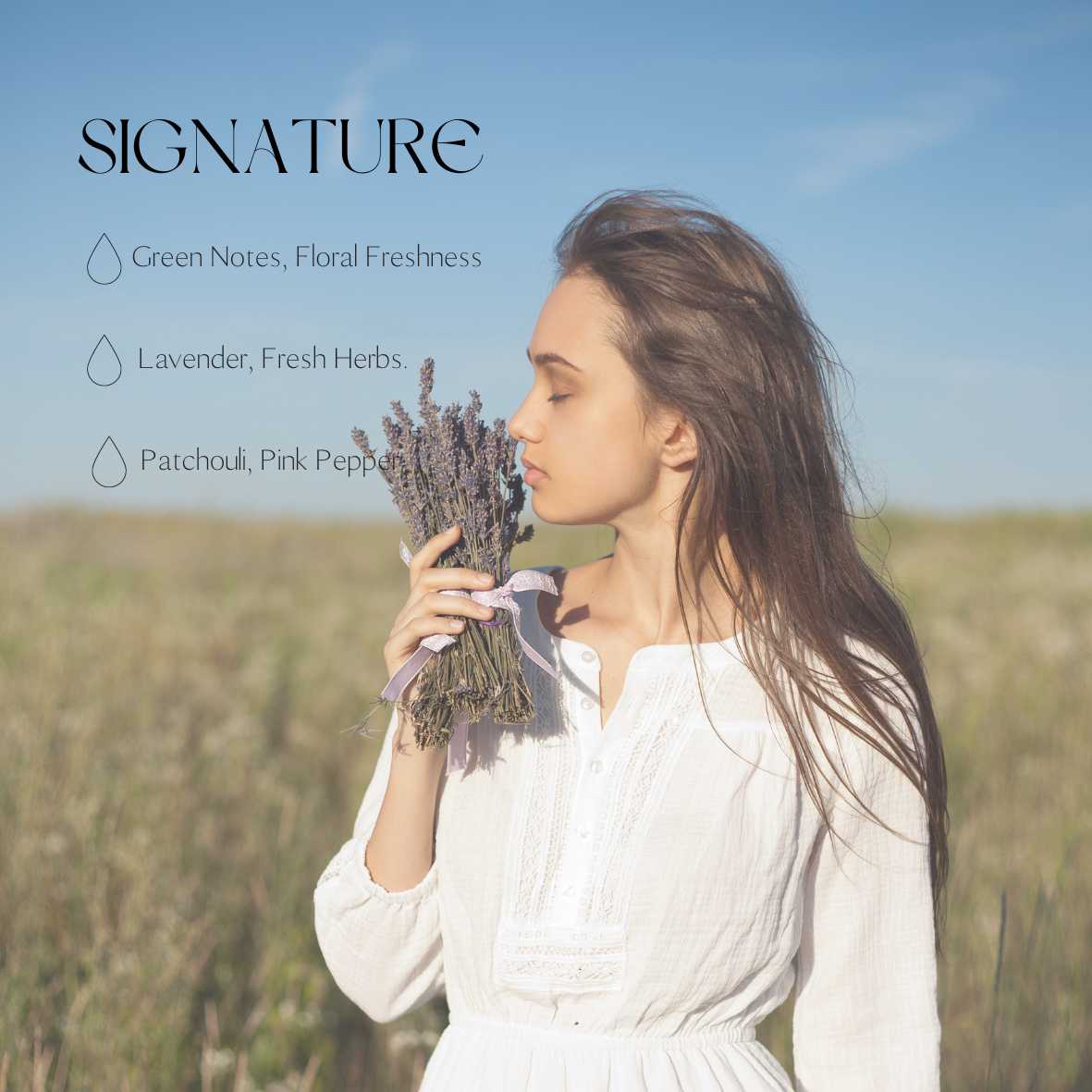 Auto-Diffusor Signature – Produktansicht 2