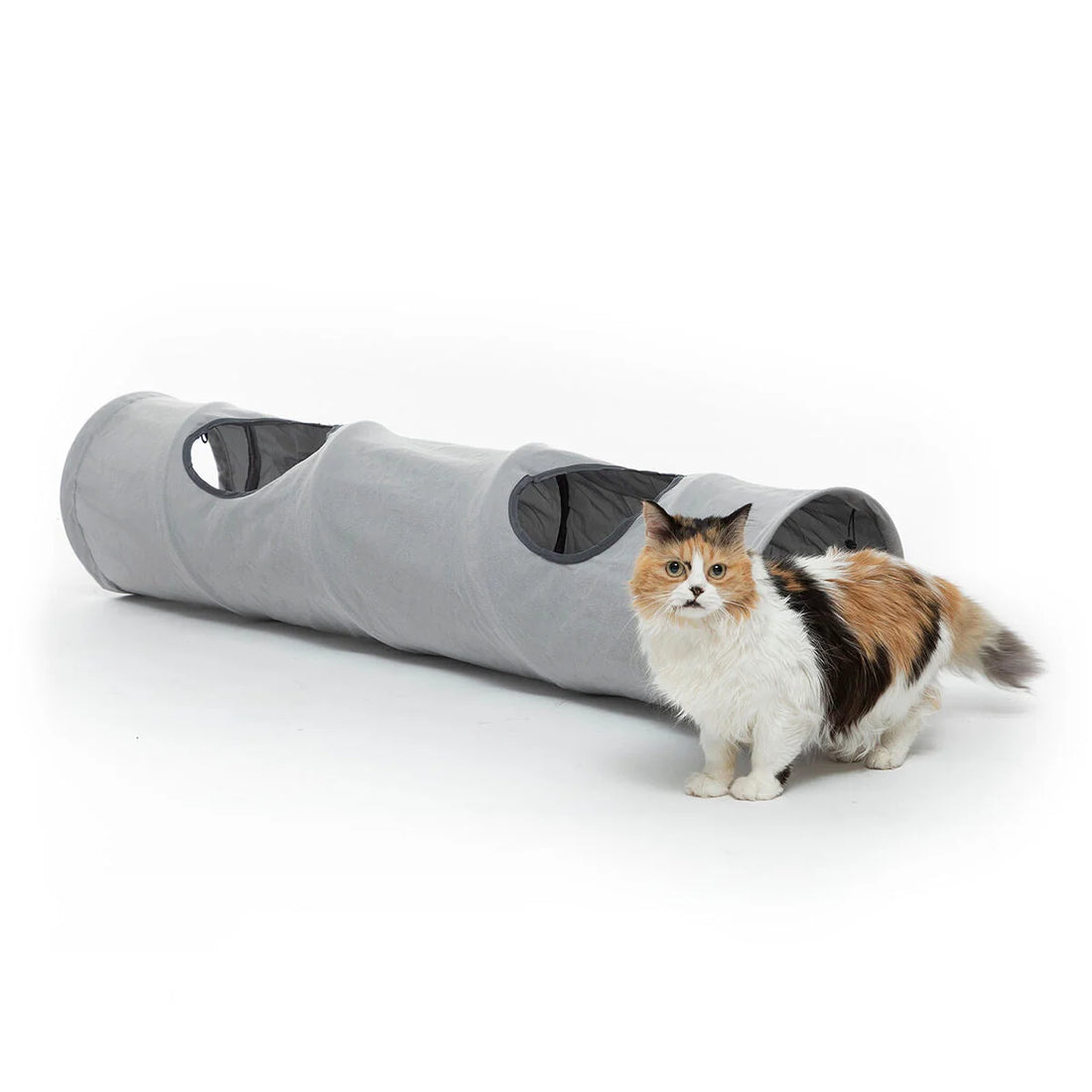 Funnyl faltbarer Katzentunnel, 114 cm – Detailansicht 5