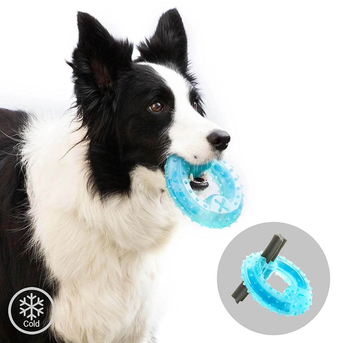 Glubiz gefrierfähiges Hundespielzeug 2-in-1 – Detailansicht 5