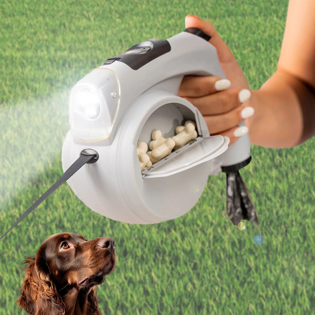 Leashic Hundeleine mit LED-Licht und Fach für Hundesnacks