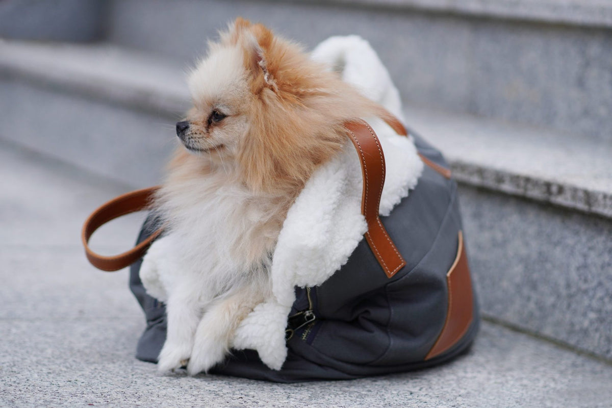 Liiva Hundetragetasche & Alltagstasche – Grau – Produktansicht 3