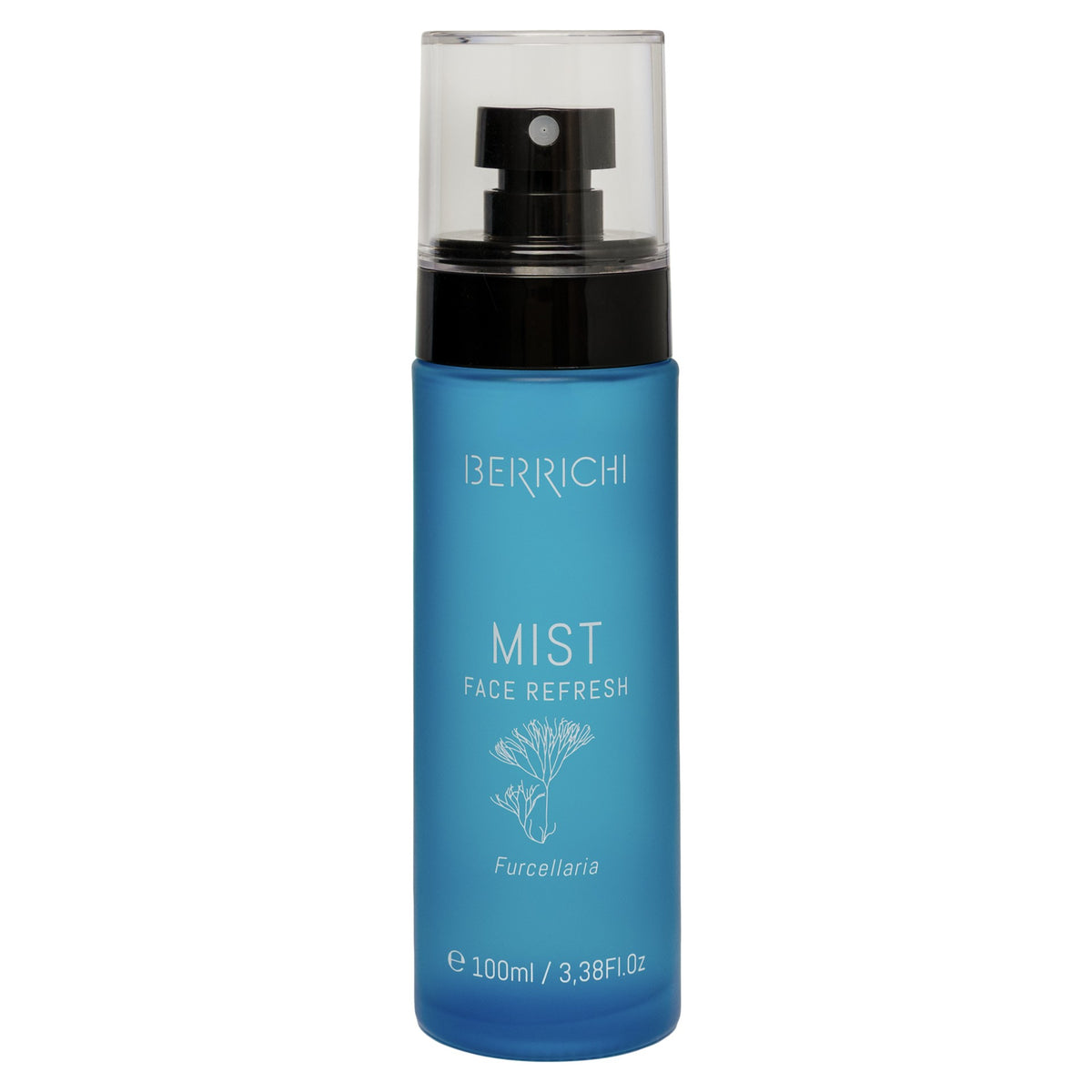 MIST Gesichtsspray, 100 ml – Produktansicht 5