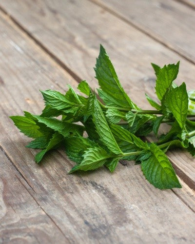 Nurme ätherisches Pfefferminzöl 10 ml – Produktansicht 3
