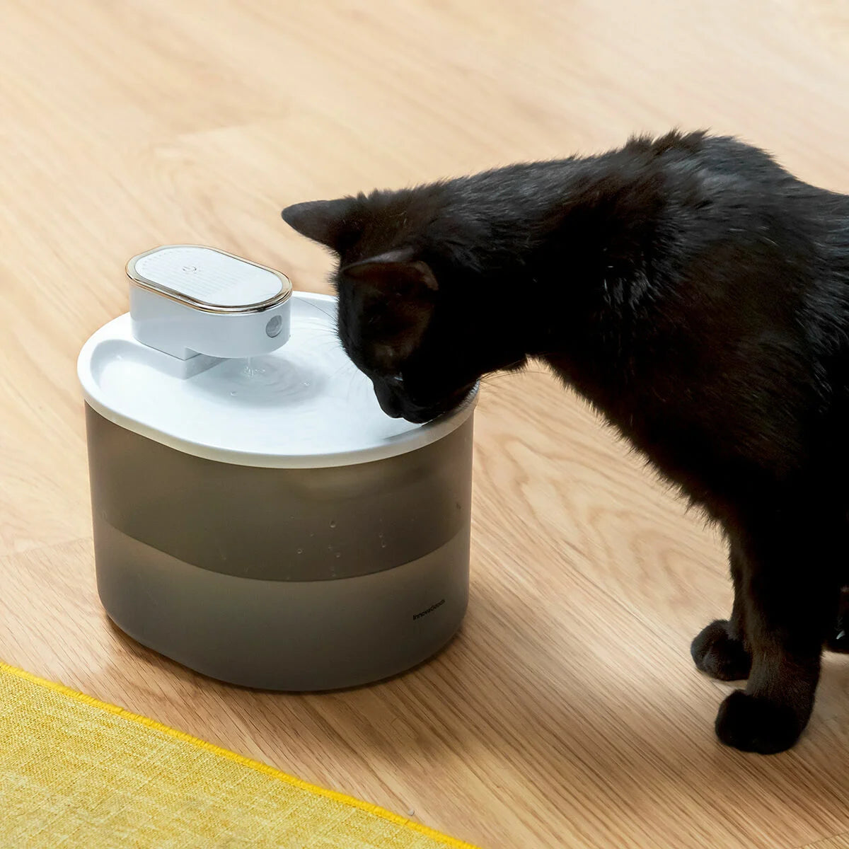 Trinkbrunnen für Katzen mit Akku und Sensor Refopet – Produktansicht 4