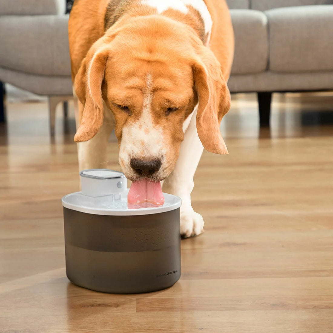 Trinkbrunnen für Katzen mit Akku und Sensor Refopet – Detailansicht 4