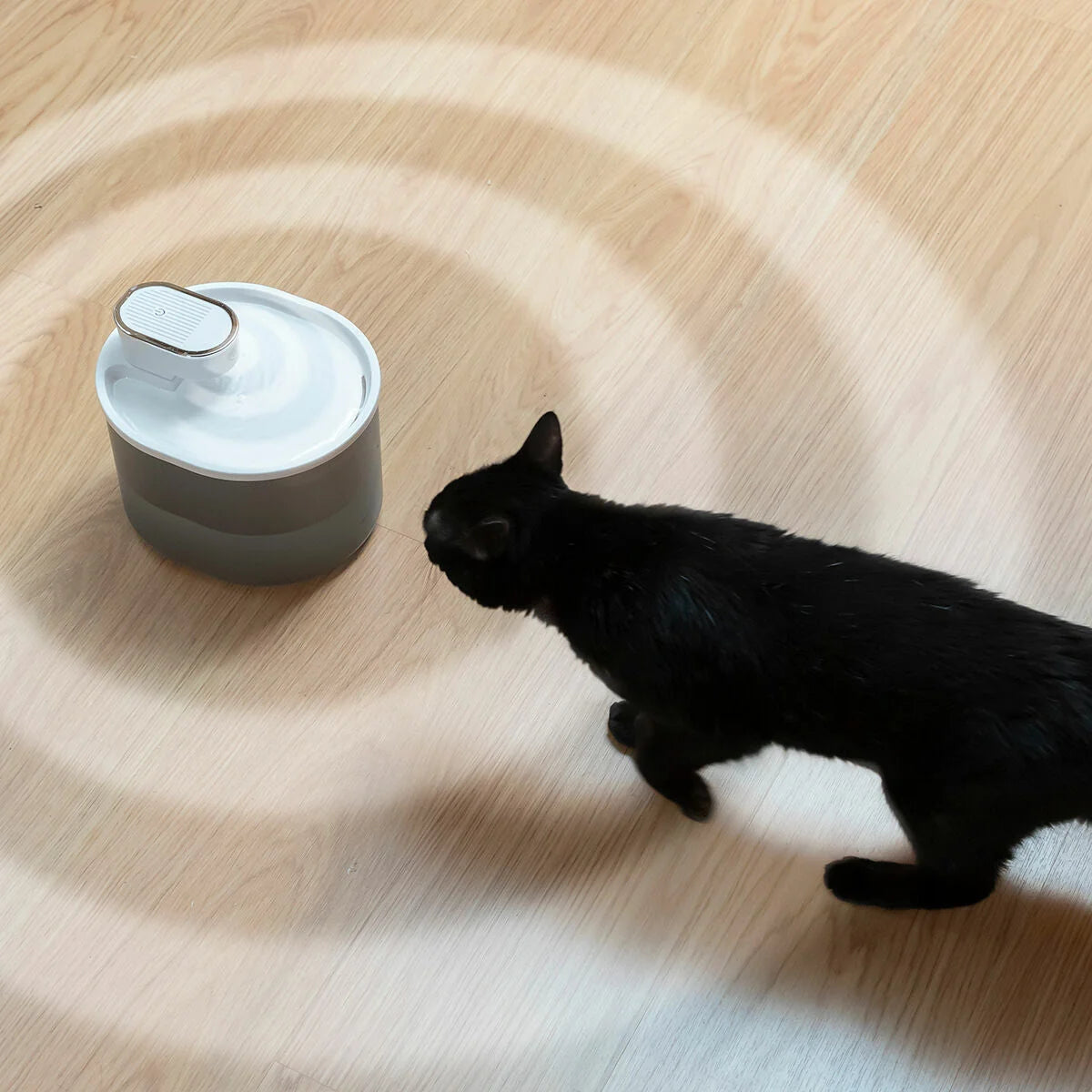 Trinkbrunnen für Katzen mit Akku und Sensor Refopet – Produktansicht 3